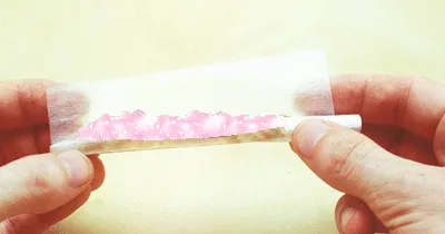 25341286264500723035621473236106555894325910133190681856438129042096901849089