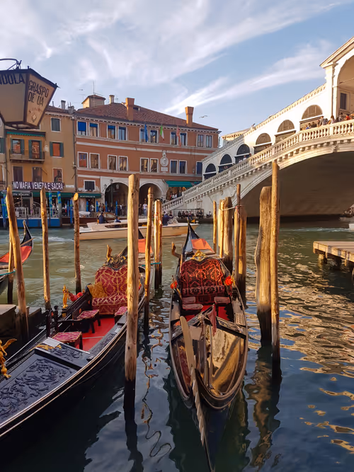 Item #33261409280827848890636833313665954217119010705453802455397167710774474309640 Media