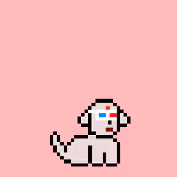PunkPuppy #997