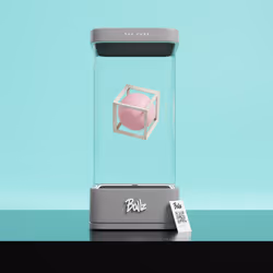 24439210320433582626122075029624338729610914236259444209735413975605563097089