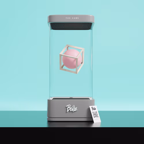 Item #24439210320433582626122075029624338729610914236259444209735413975605563097089 Media