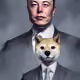 87897778527904952366690285991632176129735310867386912489173561032798162124801