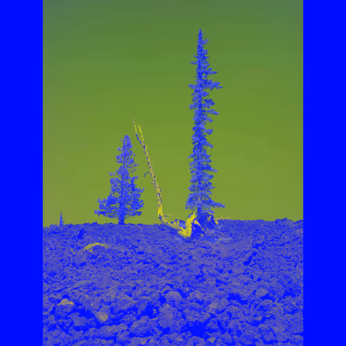 Item #81311623154221304056404739507170303613428233805736578014873159298285041614849 Media