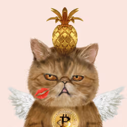 63588752515642770477067191287288803913526852218898202821012584767252712128513