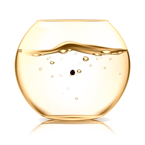 marimo.life OfficiaI