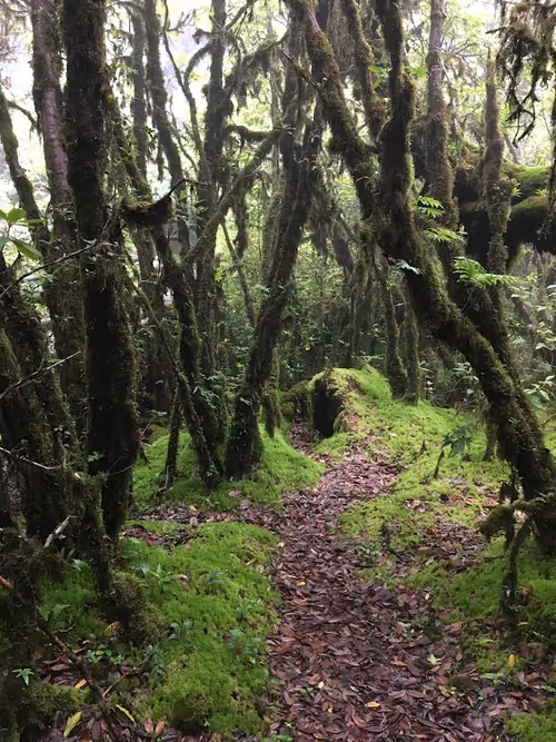 Item #40129036347338487732493830186327944618305484146391989675731997362226661949640 Media