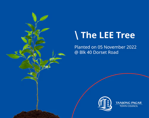 Item #4058855889328924870150502347089059965245829986372701939018037907824425566209 Media