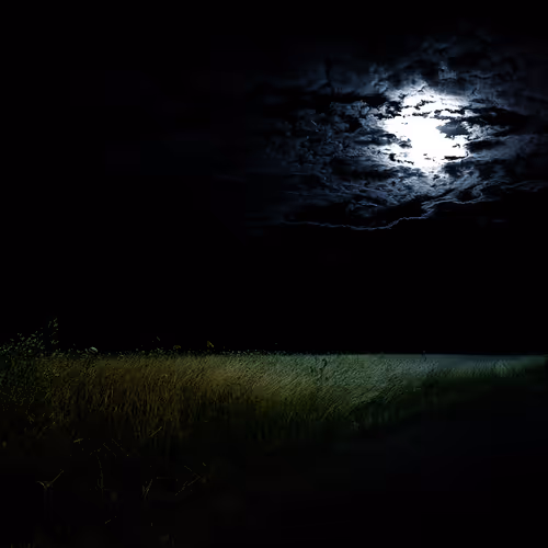 Item #9224774212819895125151329227558105848746737413000858823627967952989051682817 Media