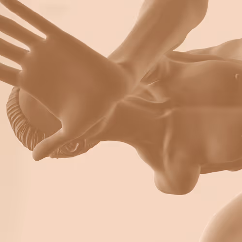 Item #84332001635550374441174670901197352378667428396898427748934291387763153436673 Media