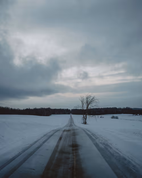 Item #84187683161901868737511018211766444110537923242733545241103395005163806654465 Media