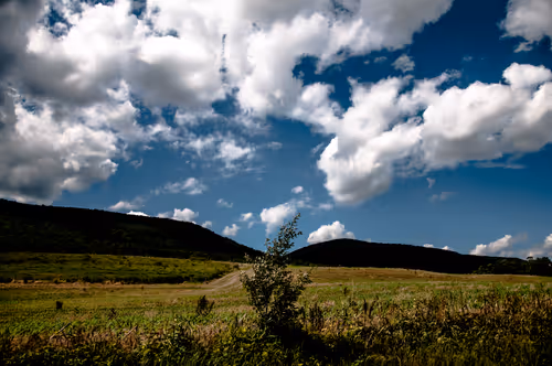 Item #53066580447893182690859255571300366451776015640198026771655436639111789674497 Media