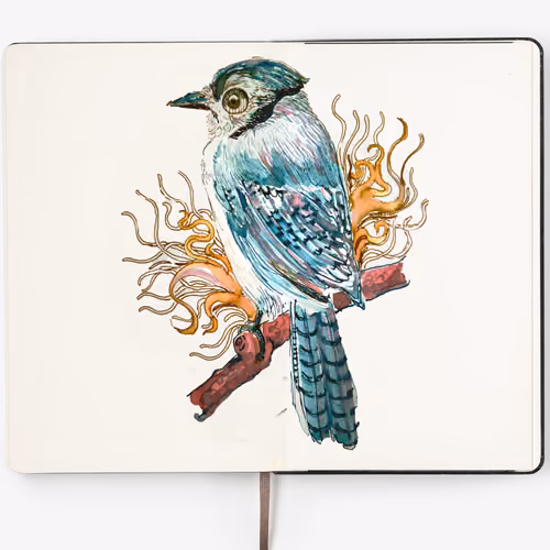 Ink Bird Sketches#9-Blue Jay