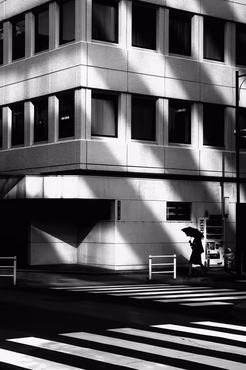 Item #38285879224256540865956642329001473428053262713451682432303846232670334877697 Media