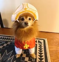 Pope Winnie