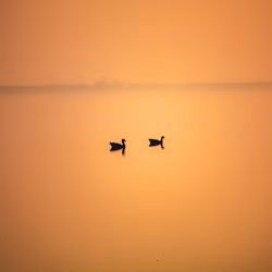 "Golden hour cruise"