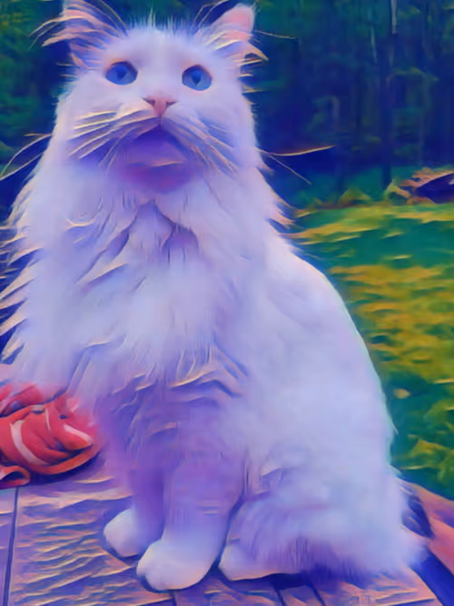 Item #61088123848032904534105049383478302671065043316167562125661509782756413931521 Media