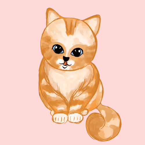 Catzzzzz#1