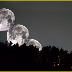 The Moon photo has been made  at about 5 a.m. just before dawn. 