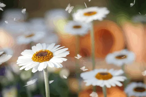 Item #31900271073354632832991890429912638653086322620126594410230774041412573855745 Media