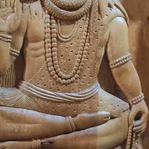 Untitled Collection #16298946