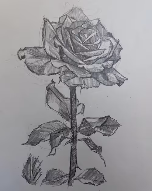 Item #11295206616210626149464284683589123983185056783080218995370809709132257427457 Media