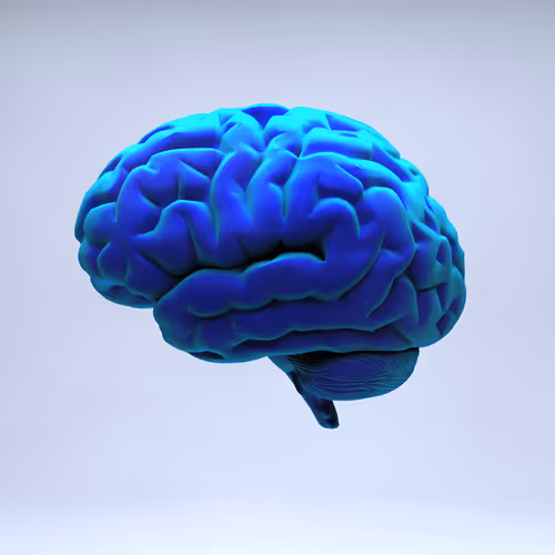 Item #77412820926303725204956055566925211190020908428863033075197849075285003075585 Media