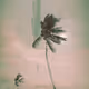 Max Taquet - Sceneries and artworks