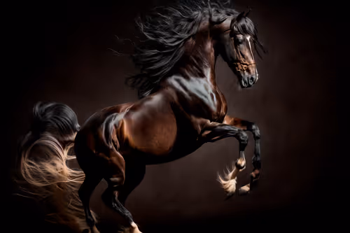 Item #29082809964077671479746814952421386145910700450503917223364975083019359485953 Media