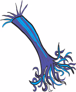 Item #114008008152738858439089017376869668929343649019793498668551632489009578508289 Media