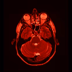 64162533542198579898252916190583583845604629893829087458582976111929878118401