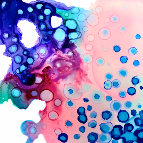 Item #10651705010174007631354222131516777238903455902344838715494381191223532584961 Media