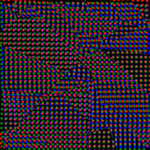 Item #30901052256179993207241149440804297564182279525546597488206050114109643423745 Media