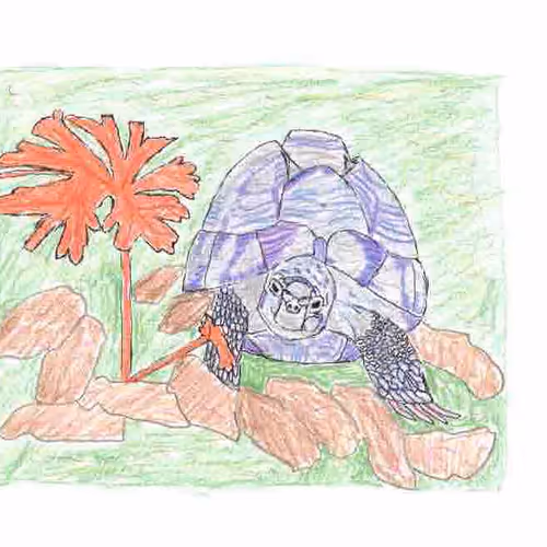 shruuumps Chromafauna