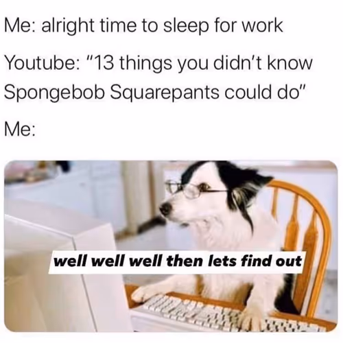 100877380078657672831141937300682673949994067612090361731607526950030628880385