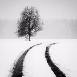 Sound of Silence #36