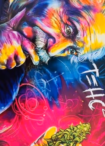 Untitled Collection #97495565