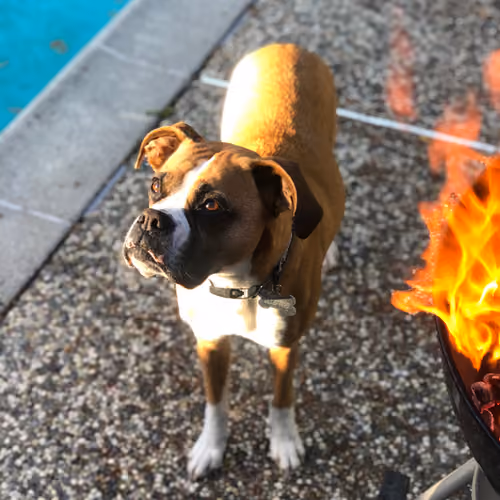 Roux