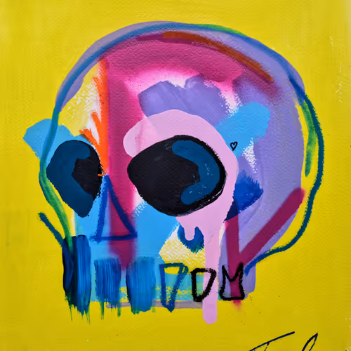 Memento Mori 100 Skulls By Tim Fowler