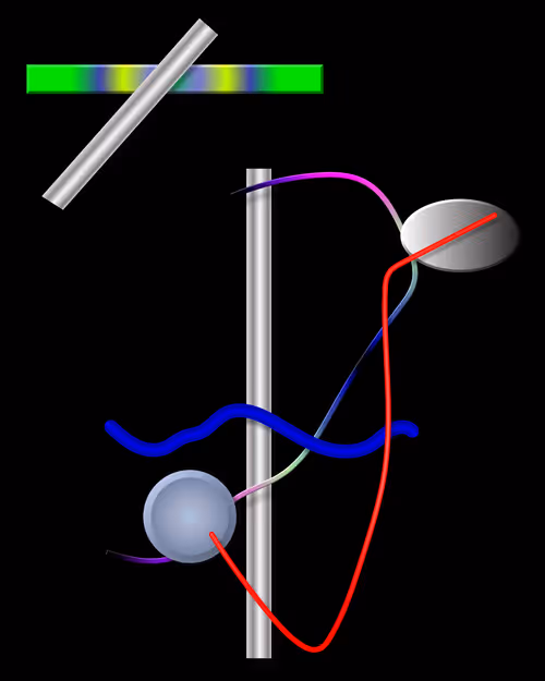 Item #48077036088945243318270363698185930561210779030743272029392197342252018696193 Media