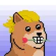 29882566287943185819658965671579458849305056653596946618111564039847197802497