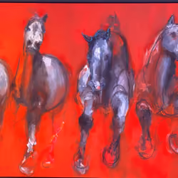 Arabian Black Horses