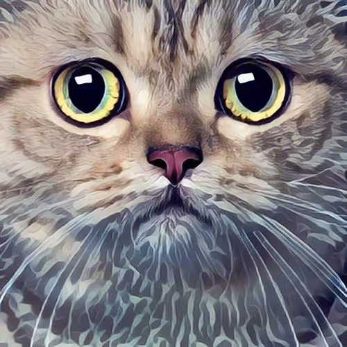Pet Haven