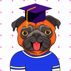 85536923797864075655485684241418953431230894352078393540716039022661448237057