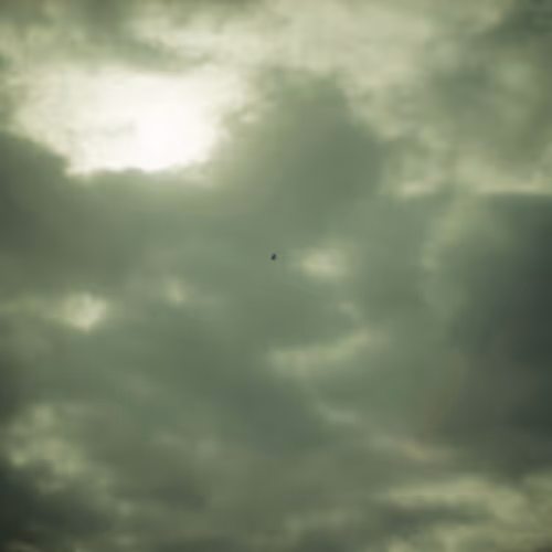 masahikohigashi Collection