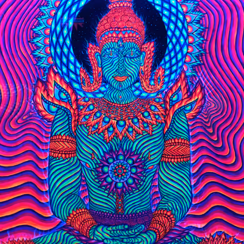 High Vibes
