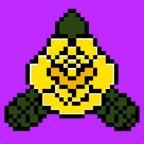 SOLORAISE Collection - old