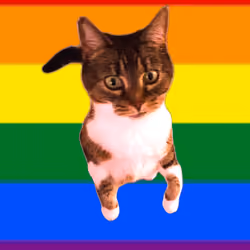 LGBTQ Loly (Lolycat#32)