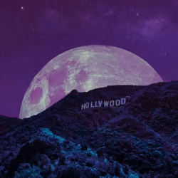 Hollywood Nights