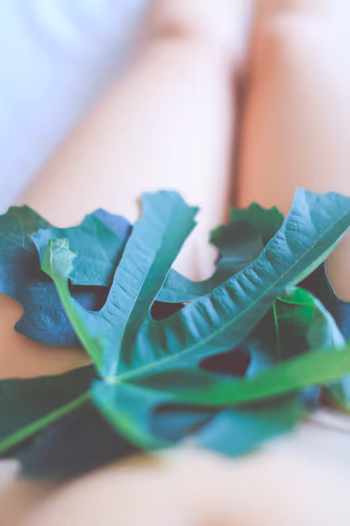 Item #40498021365110625873163859620955492987361950717153146364459205212148420575233 Media