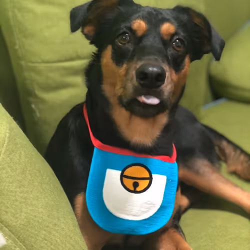 Untitled Collection #48205275